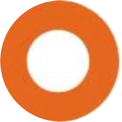 SYLO icon
