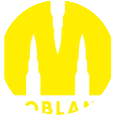 SYNR icon