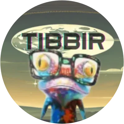 TIBBIR icon