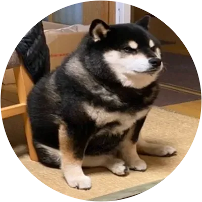 TOTAKEKE icon