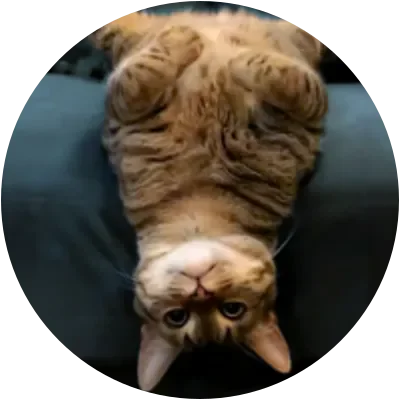 USDCAT icon