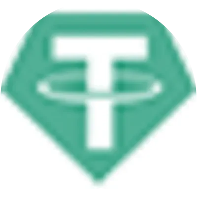 USDTE icon