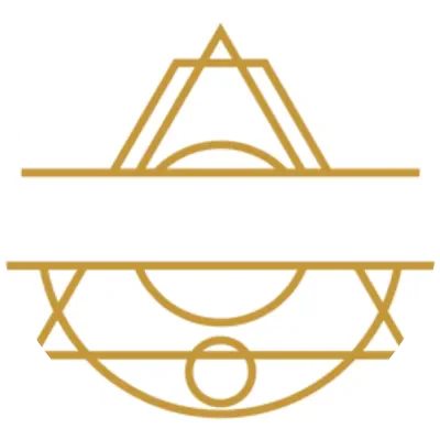 VIGI icon