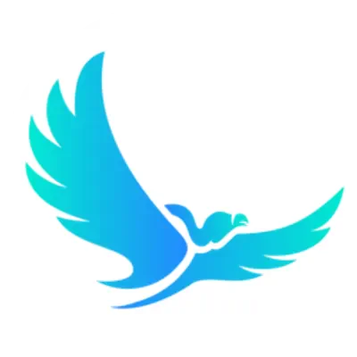VPK icon