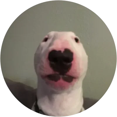WALTER icon