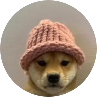 dogwifhat icon