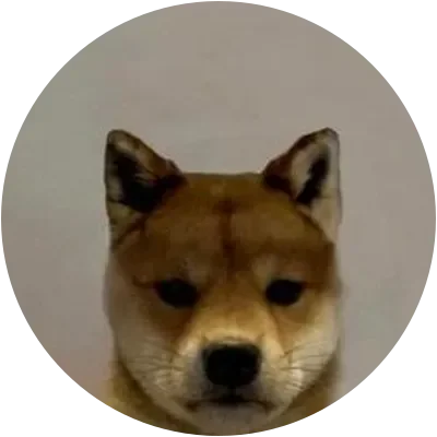 WIFOUT icon