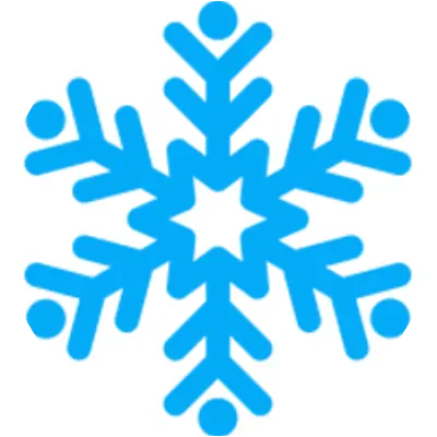WINTER icon