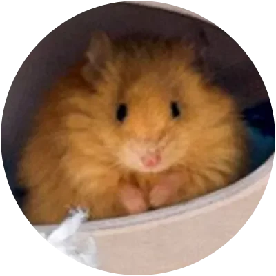 WOOLLY icon