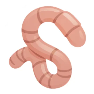 WORM icon