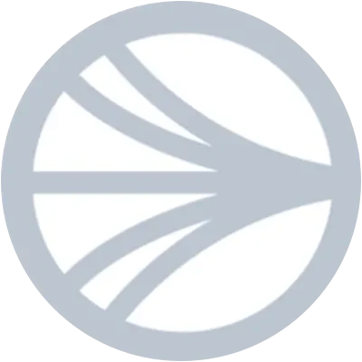 WS icon