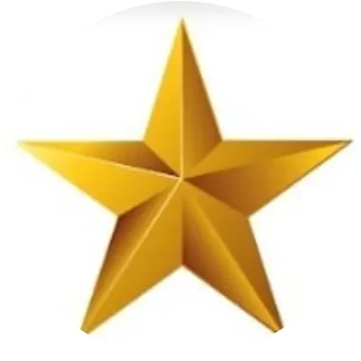 XING icon