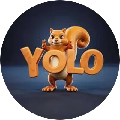 YOLO icon